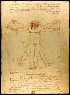 Vitruvian Man, by Leonardo da Vinci