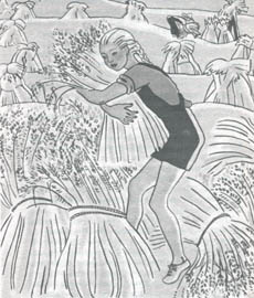 Garnet Harvesting Oats, from 

Thimble Summer
