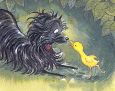 

Hairy Maclary
