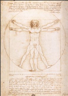 Vitruvian Man, by Leonardo da Vinci